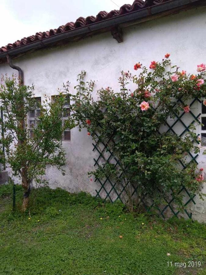 Beb Infamiglia Bed and Breakfast Cascinette Εξωτερικό φωτογραφία